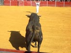 Anónimo05